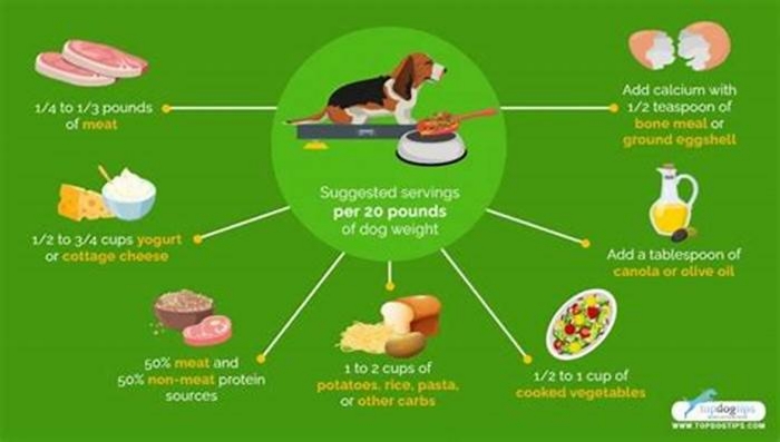 homemade dog food portions calculator