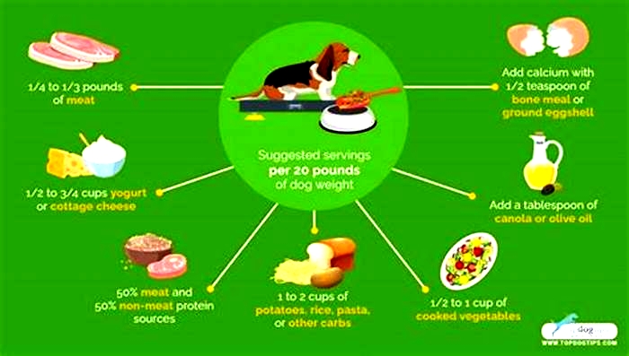 homemade dog food quantity chart