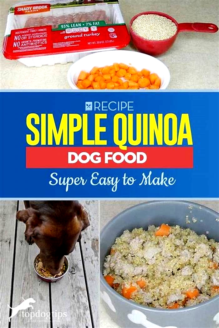 homemade dog food quinoa