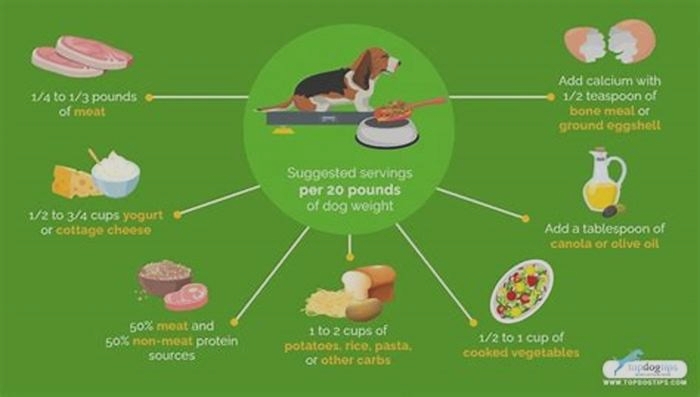 homemade dog food ratio calculator