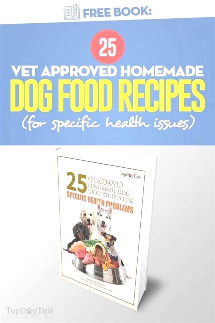 homemade dog food recipe book