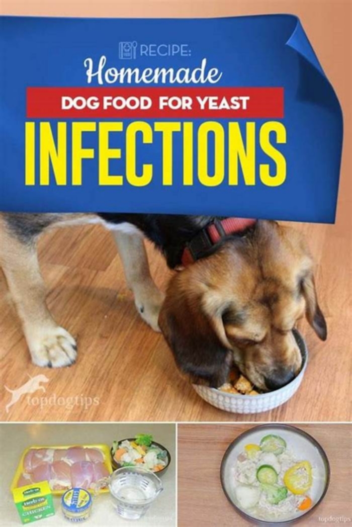 homemade dog food recipe for yeast overgrowth