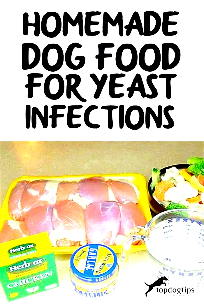 homemade dog food recipe for yeast