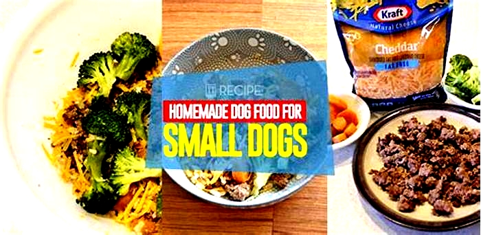 homemade dog food recipe small breed