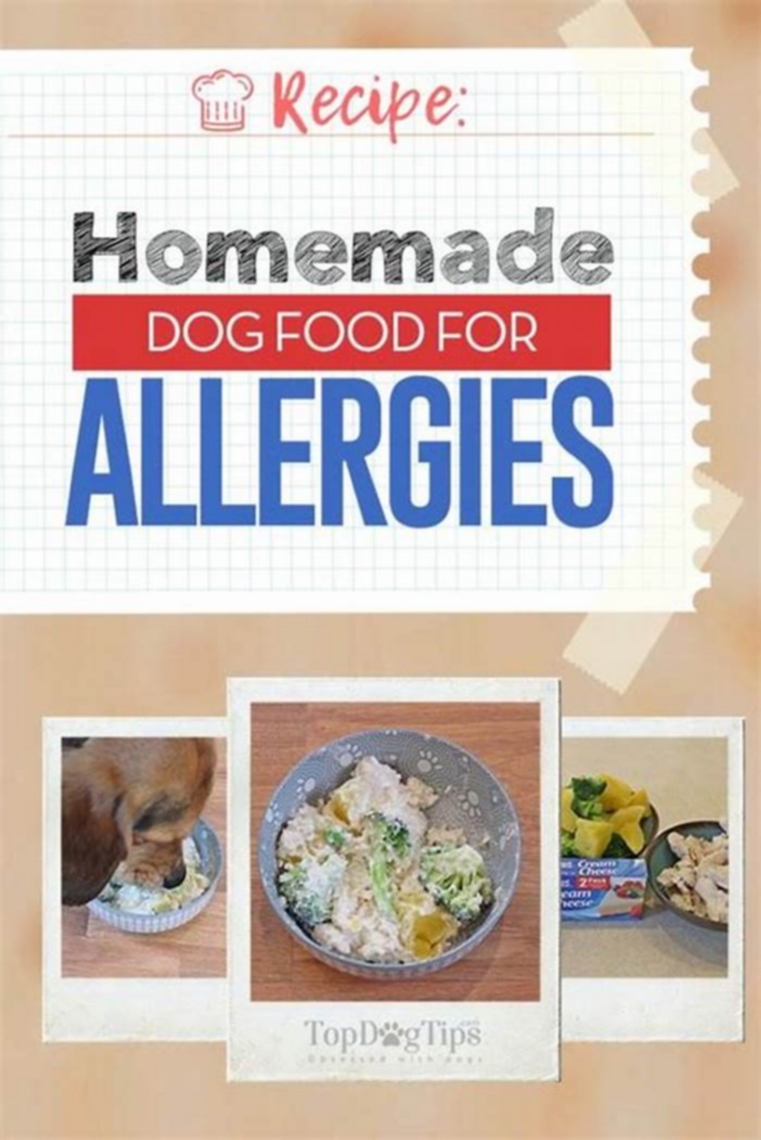 homemade dog food recipes allergies