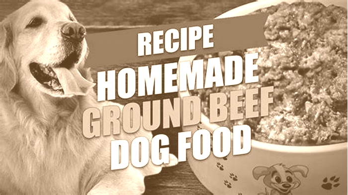 homemade dog food recipes beef mince