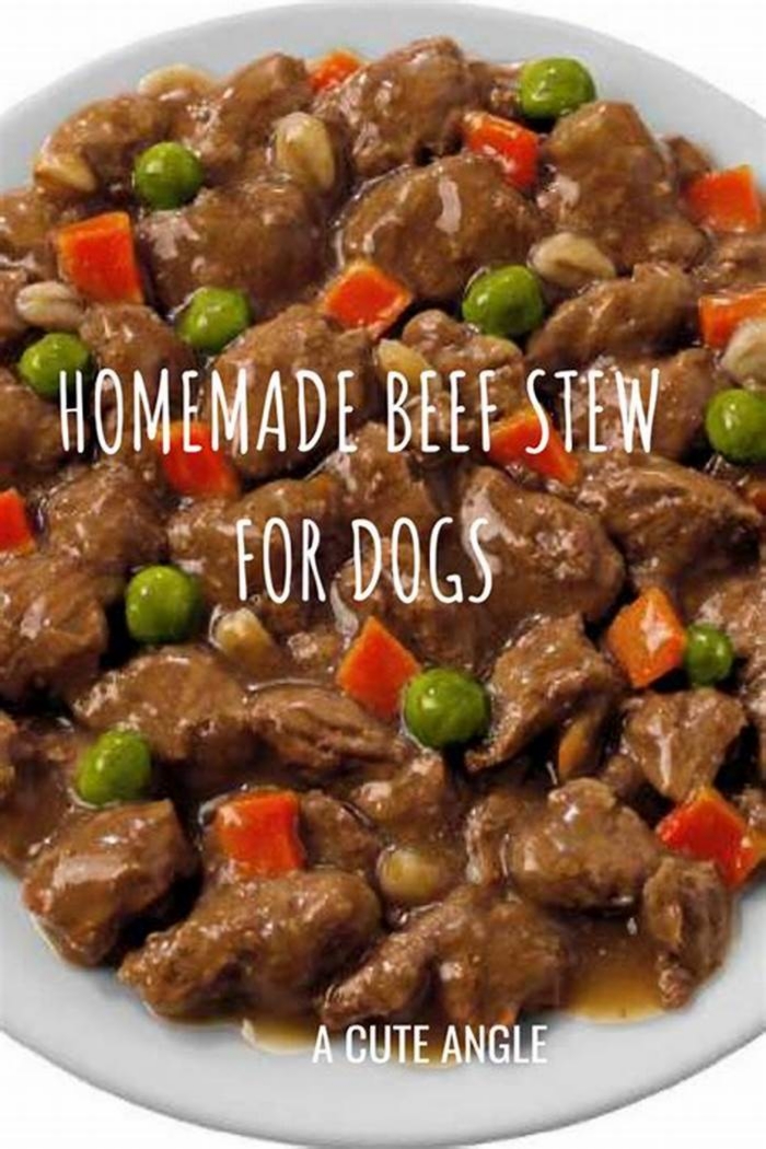 homemade dog food recipes beef