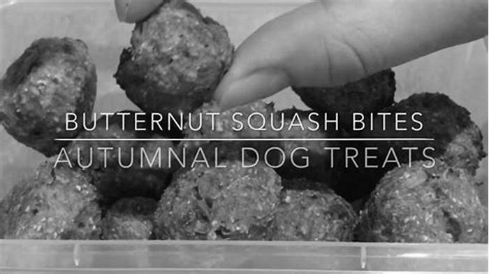 homemade dog food recipes butternut squash