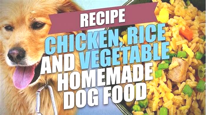 homemade dog food recipes chicken and rice