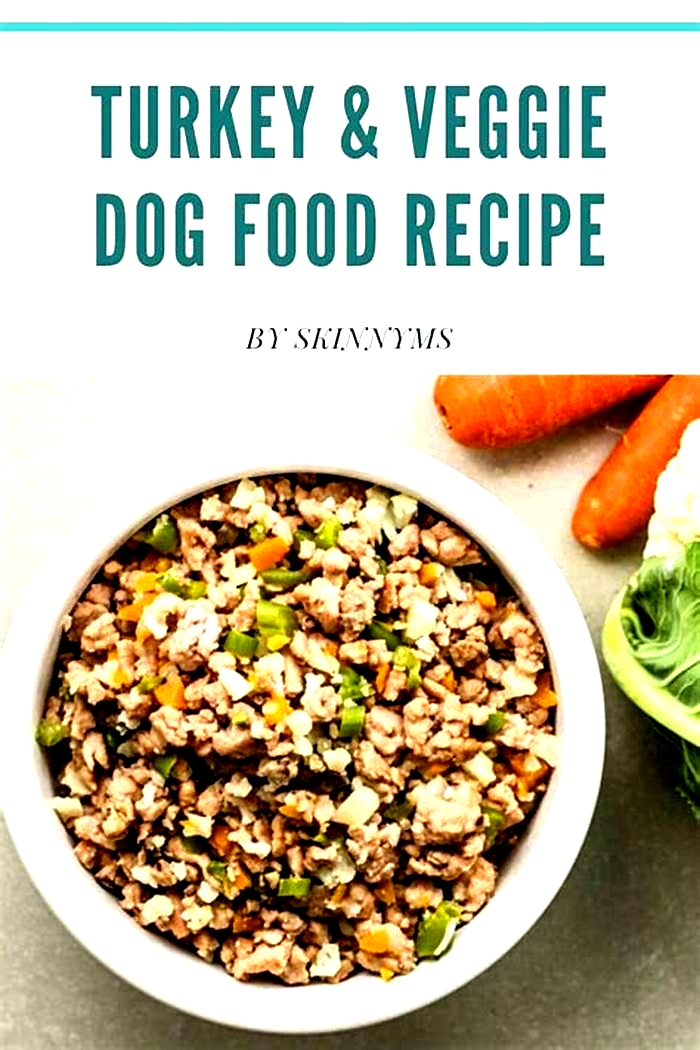 homemade dog food recipes easy