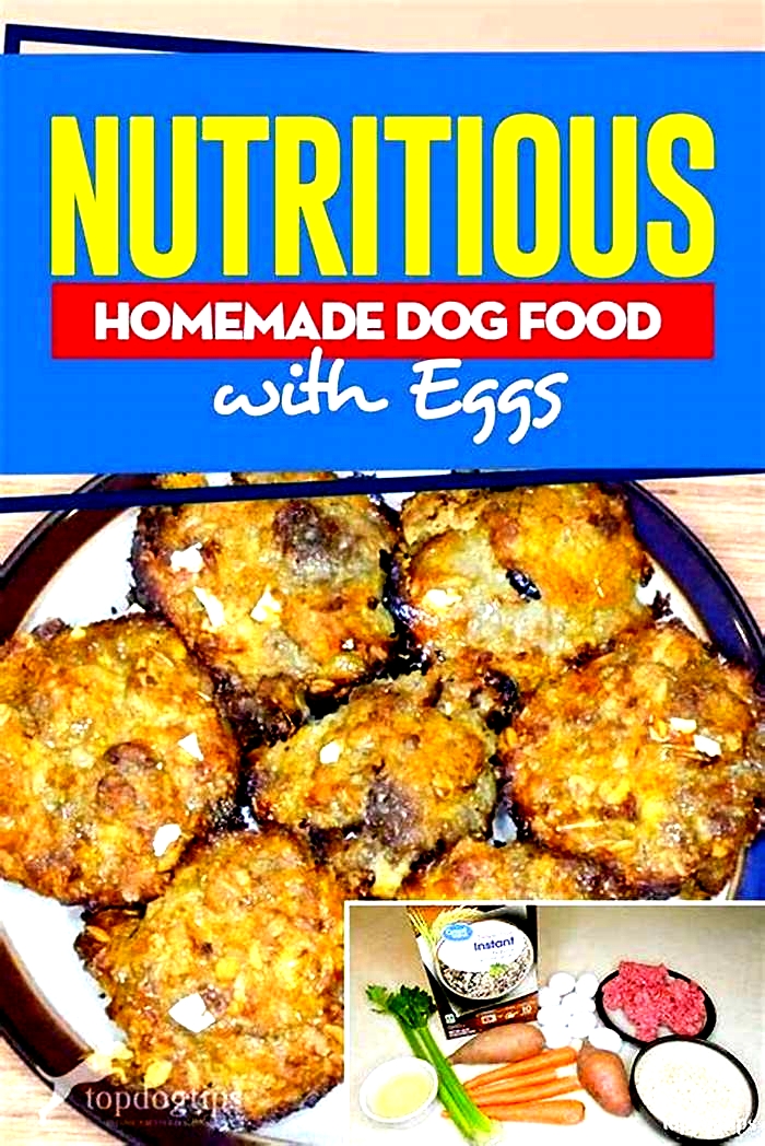 homemade dog food recipes egg