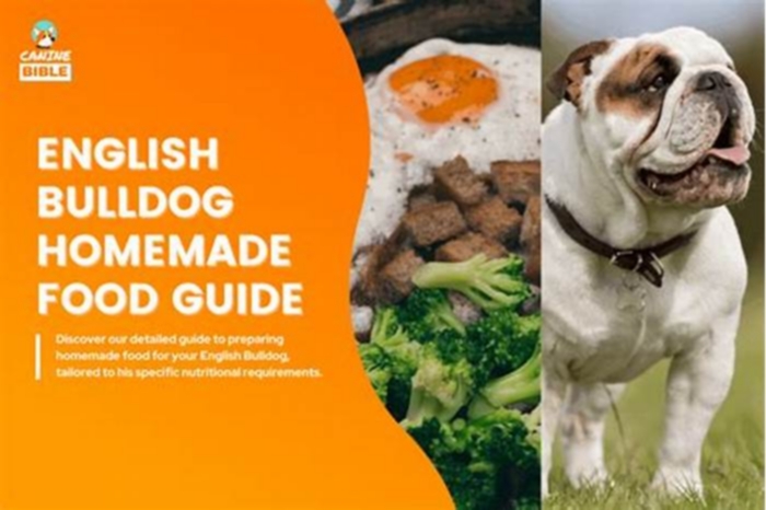 homemade dog food recipes english bulldog