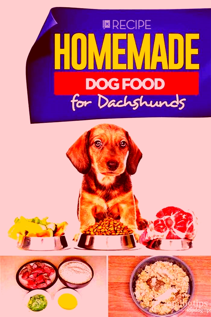 homemade dog food recipes for dachshunds