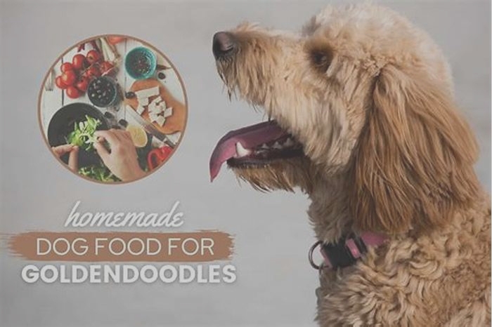 homemade dog food recipes for goldendoodles