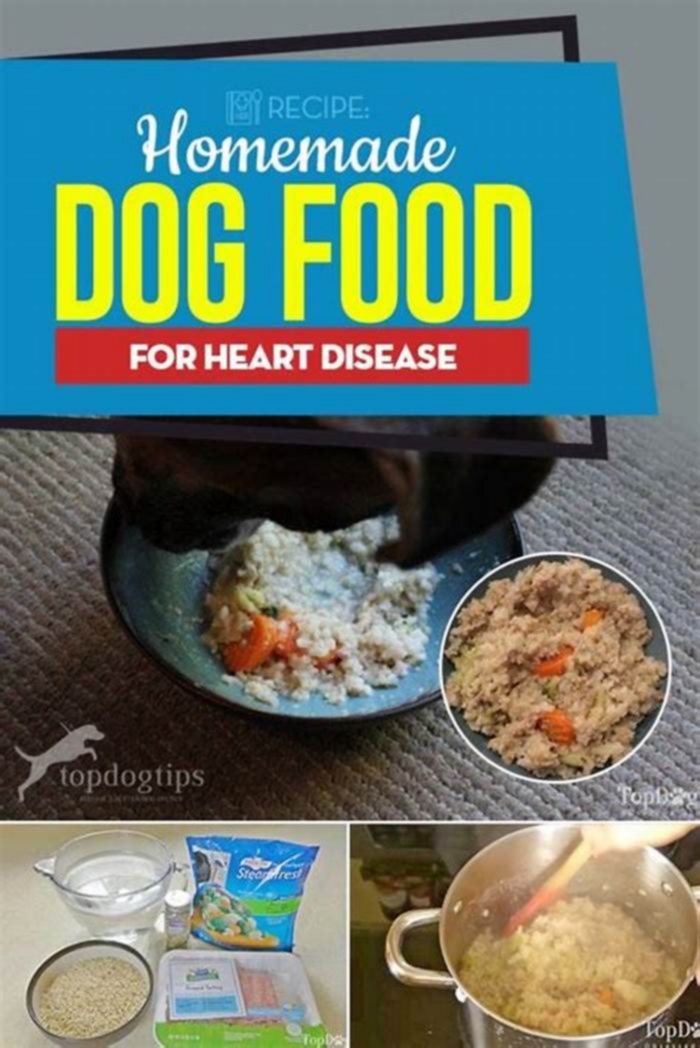 homemade dog food recipes for heart disease