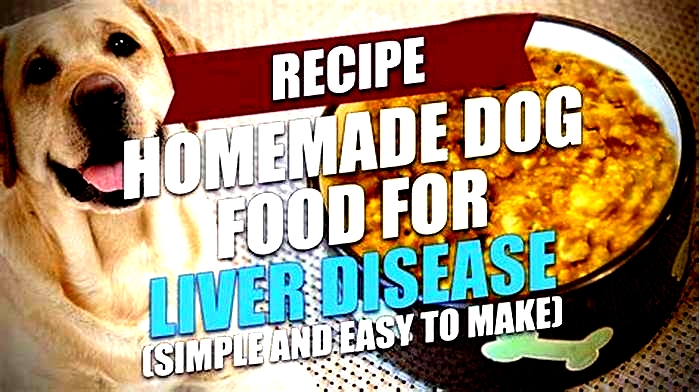 homemade dog food recipes for high liver enzymes