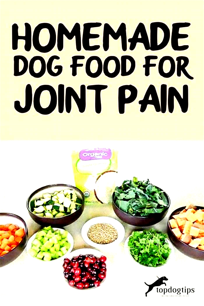 homemade dog food recipes for joint pain