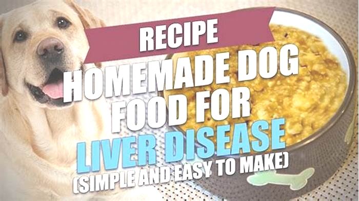 homemade dog food recipes for liver disease