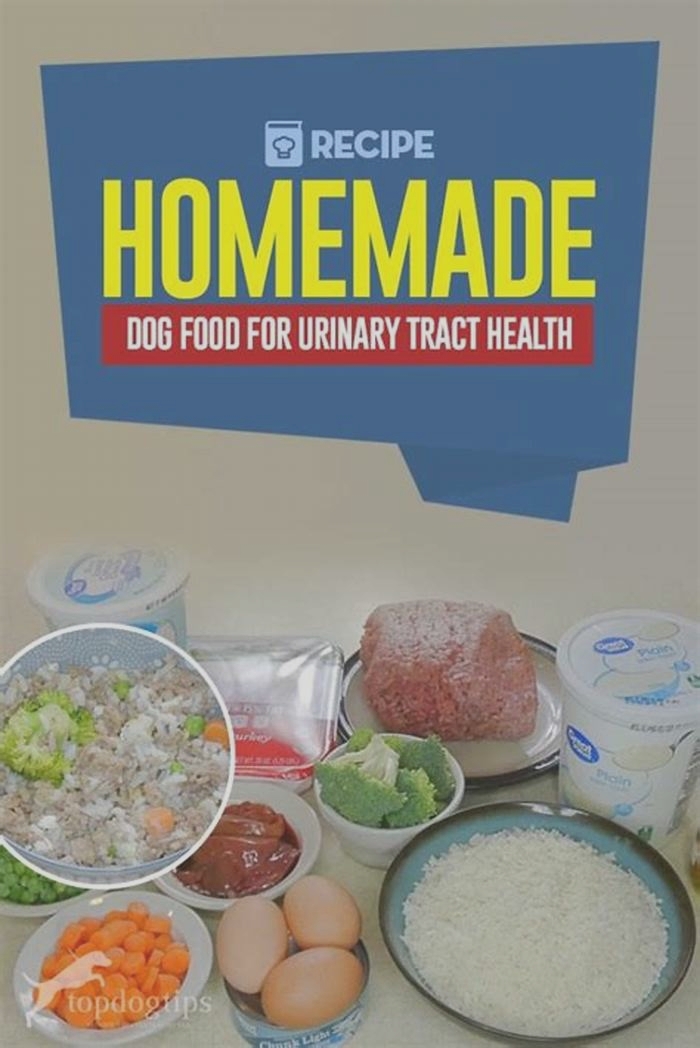 homemade dog food recipes for urinary tract health