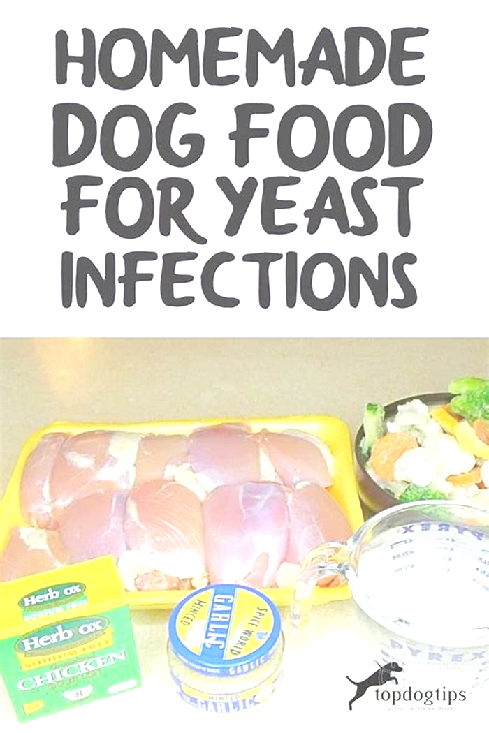 homemade dog food recipes for yeast infection