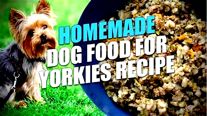 homemade dog food recipes for yorkies