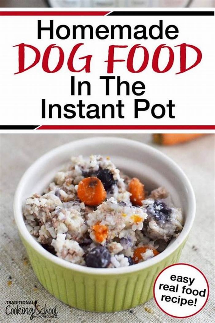 homemade dog food recipes instant pot