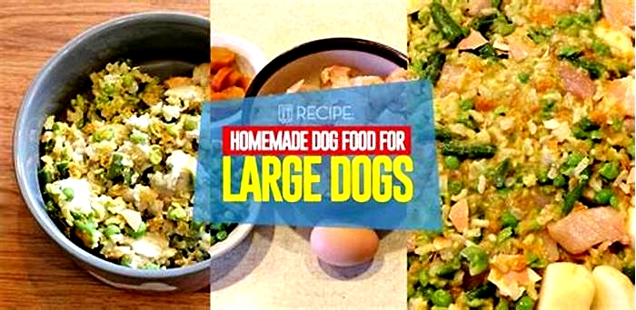 homemade dog food recipes large breed