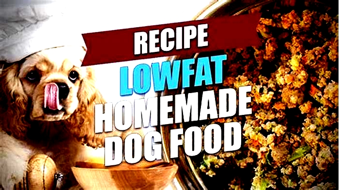 homemade dog food recipes low fat