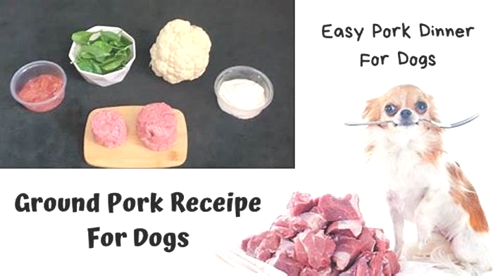 homemade dog food recipes pork