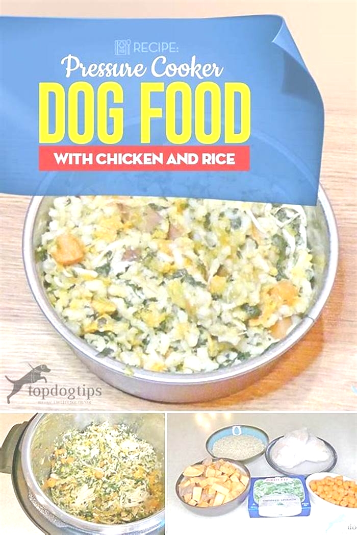 homemade dog food recipes pressure cooker