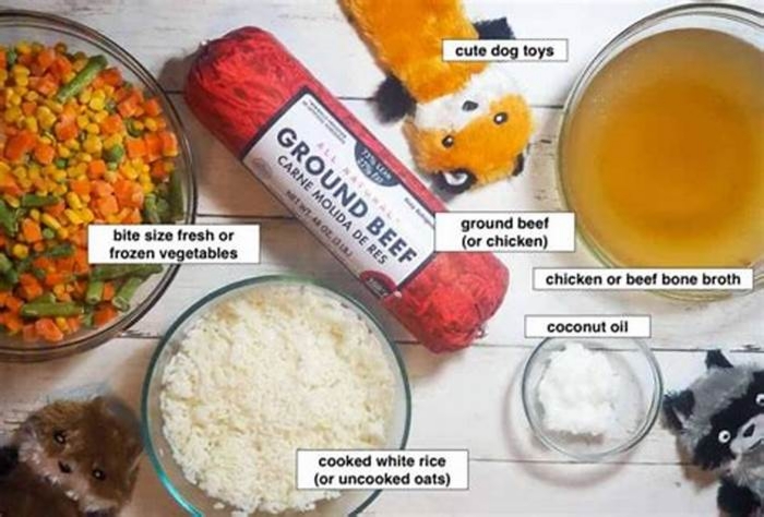 homemade dog food recipes ratio ingredients