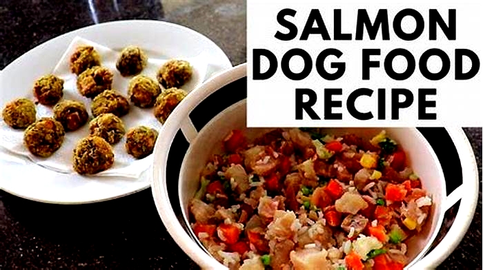 homemade dog food recipes salmon