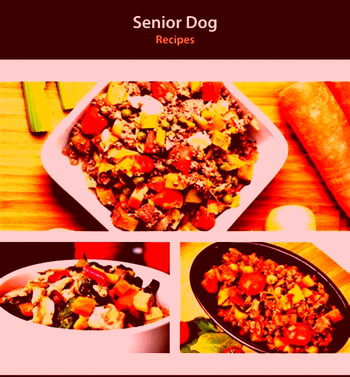 homemade dog food recipes senior dogs