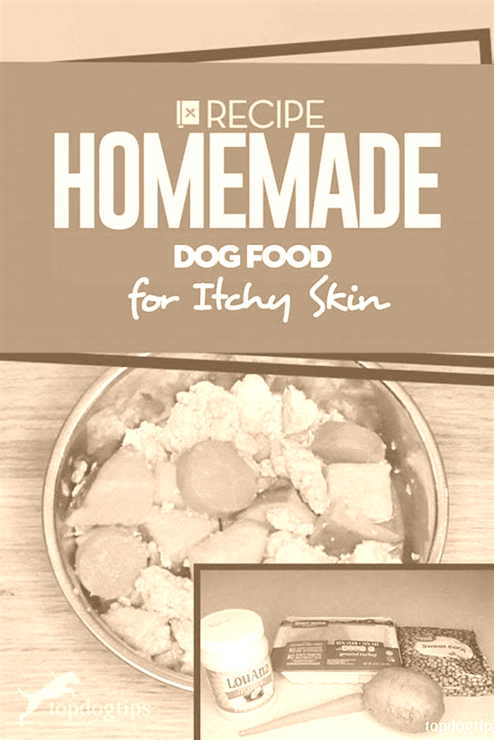 homemade dog food recipes skin allergies