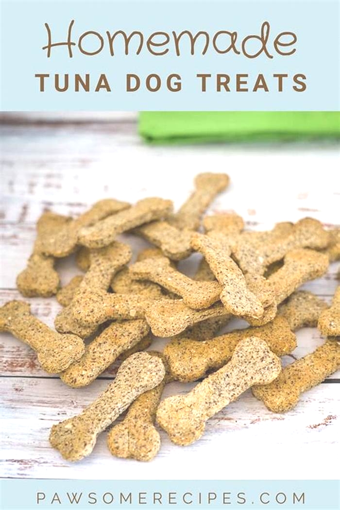 homemade dog food recipes tuna