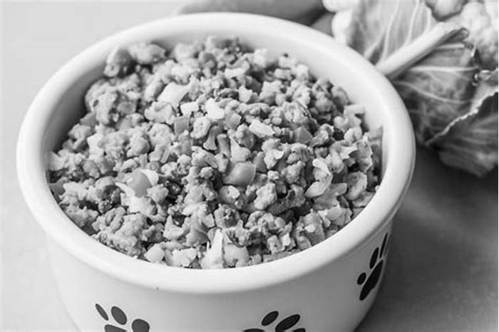 homemade dog food recipes turkey