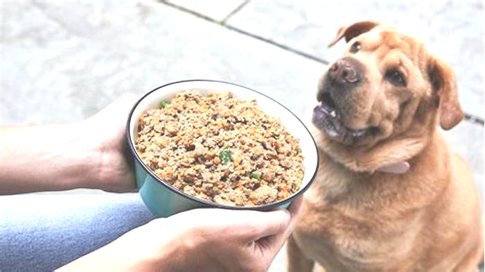 homemade dog food recipes using chicken