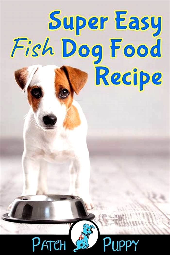 homemade dog food recipes using fish