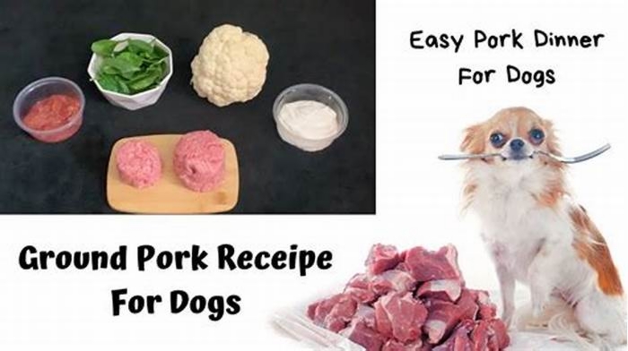 homemade dog food recipes using pork