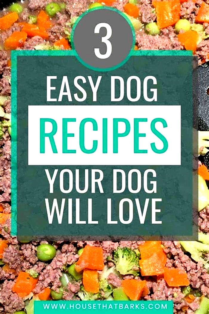 homemade dog food recipes vet approved australia