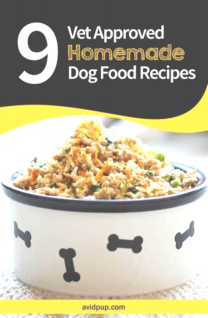 homemade dog food recipes vet approved for senior dogs