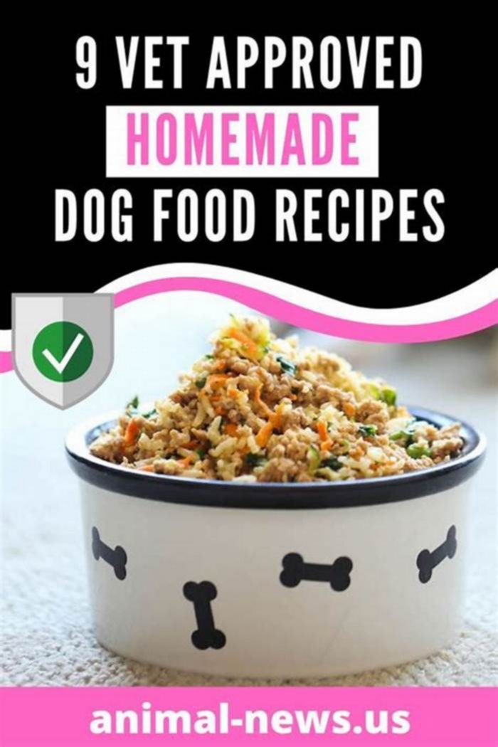 homemade dog food recipes vet approved instant pot