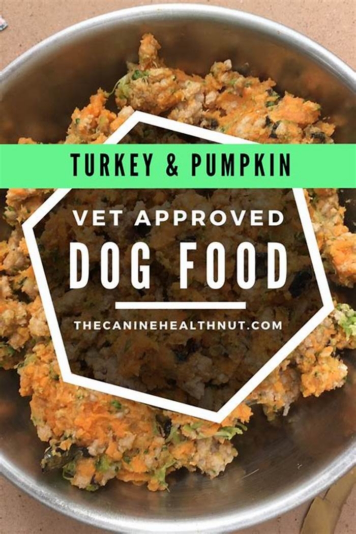 homemade dog food recipes vet approved turkey