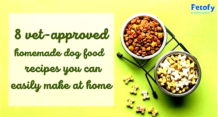 homemade dog food recipes vet approved uk