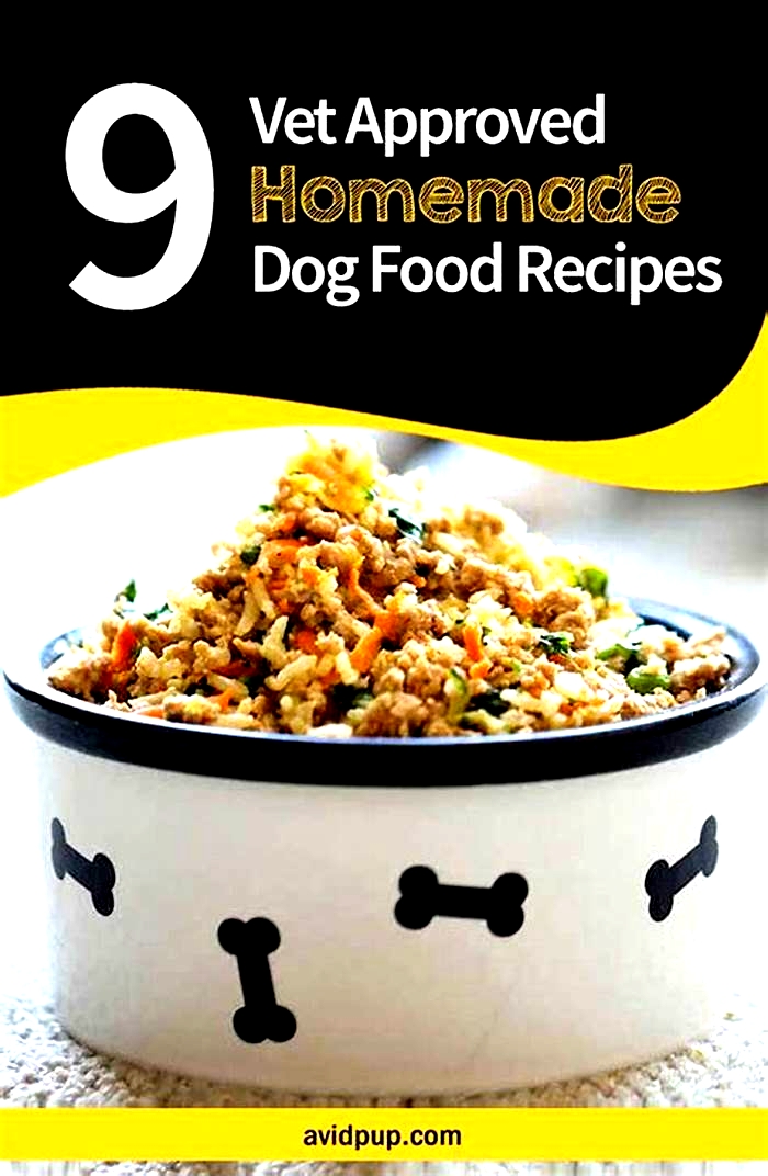 homemade dog food recipes vet approved