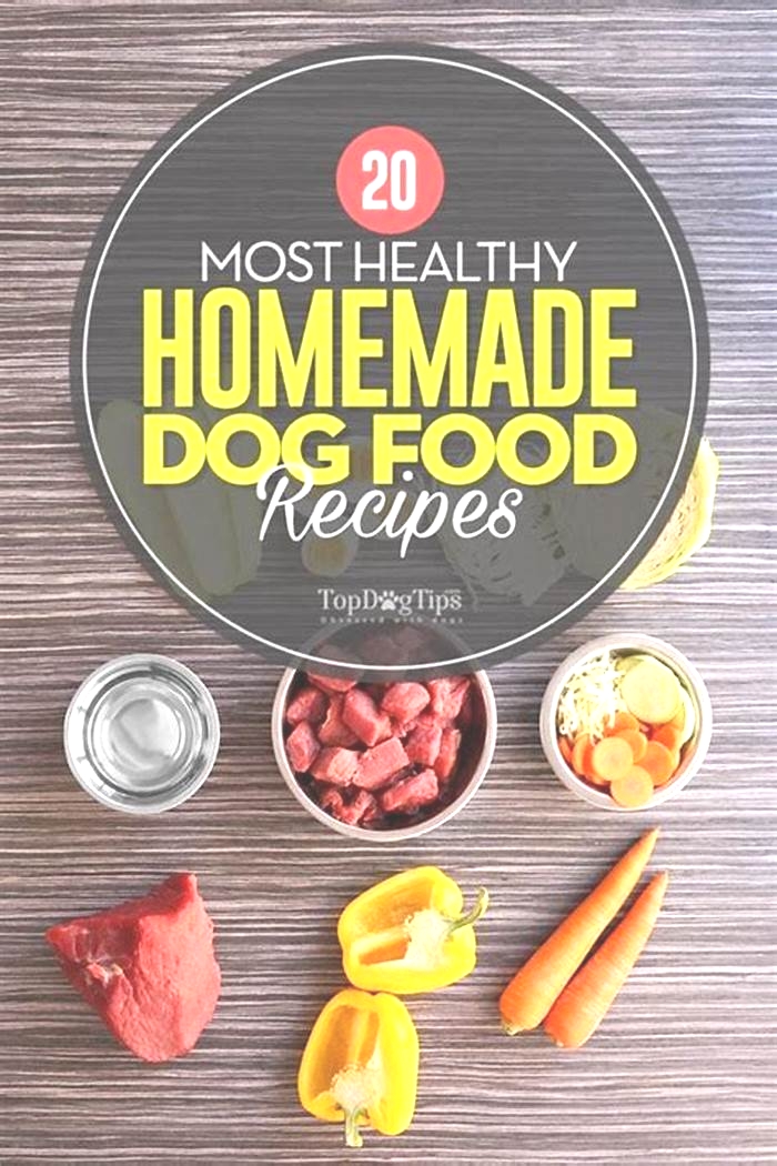 homemade dog food recipes veterinary nutritionist