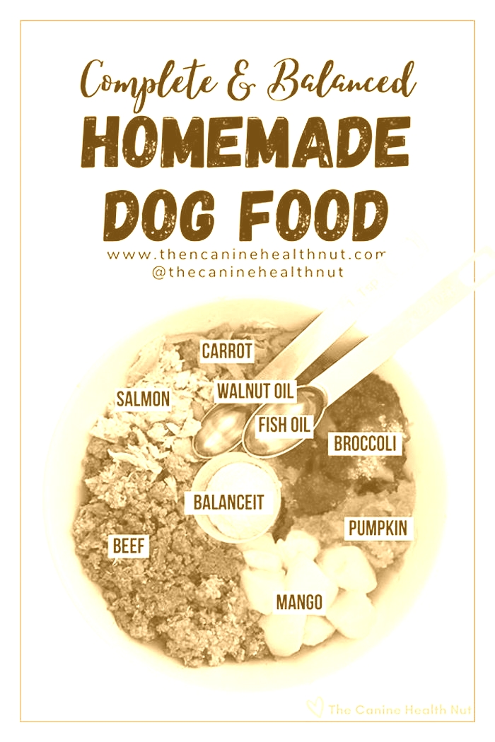 homemade dog food recipes with all nutrients