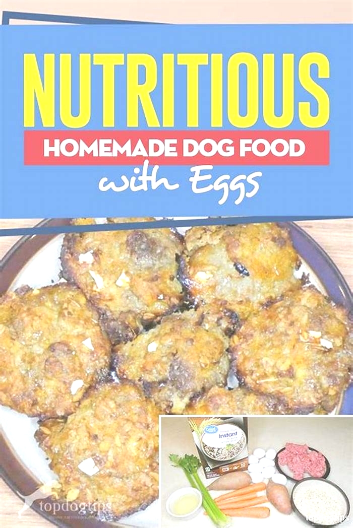 homemade dog food recipes with egg