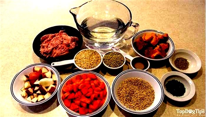 homemade dog food recipes with lentils