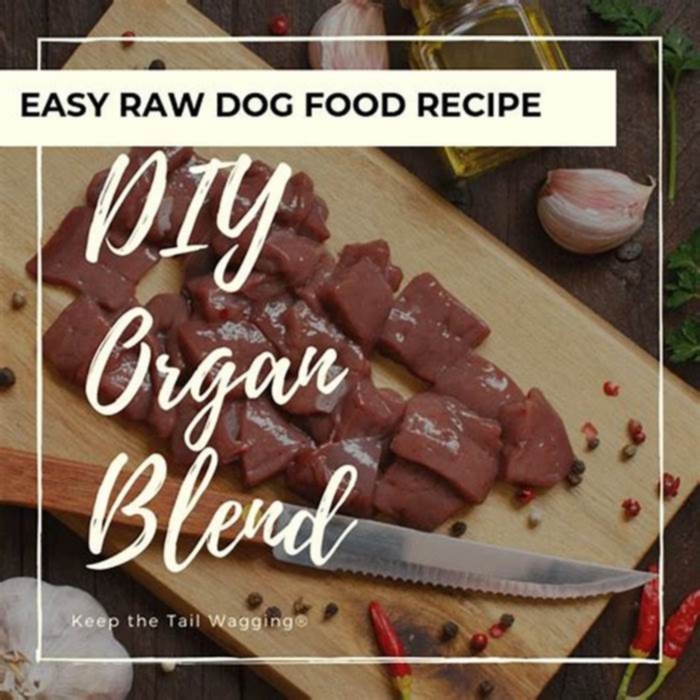 homemade dog food recipes with organ meat